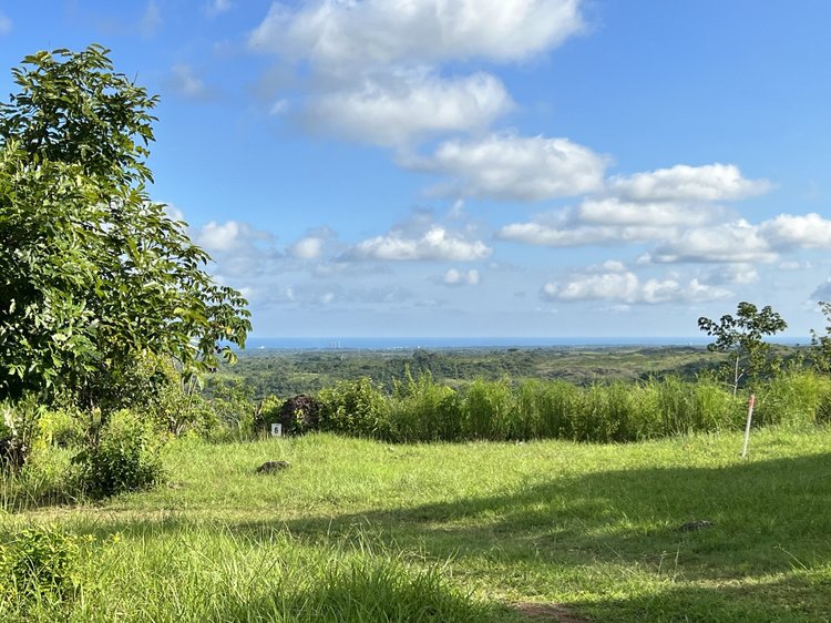 A lush green landscape with trees and tall grass, a distant view of the ocean, partly cloudy sky, and a small sign with the number 6 in the foreground.
