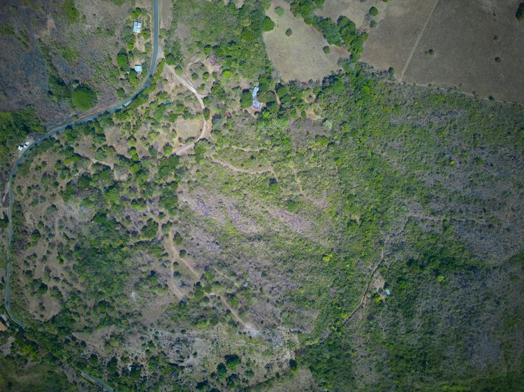 An aerial view of a semi-wooded hillside with dirt paths, small structures, and scattered trees. A winding road runs along the hillside's edge.